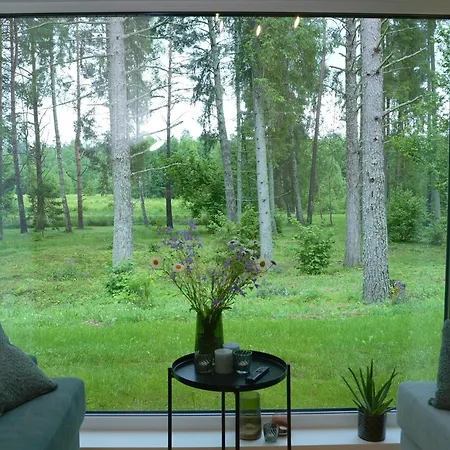 Rabamaja Ja Rabasaun Kolga