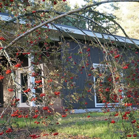 Rabamaja Ja Rabasaun