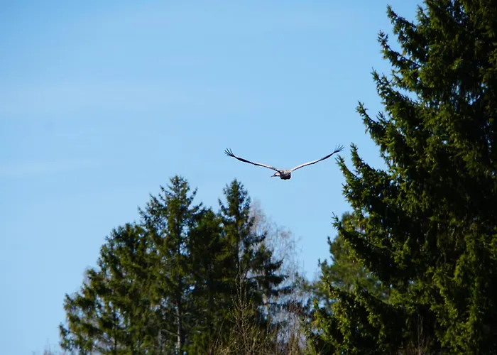 Rabamaja Ja Rabasaun 펜션 Kolga